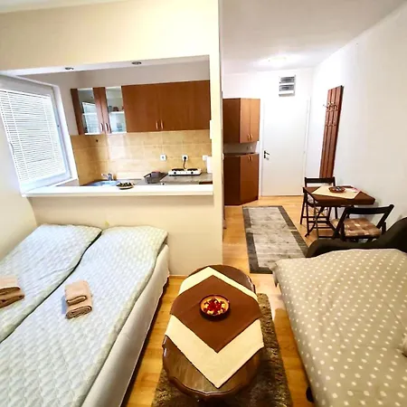 Apartment Banjski Cvet *