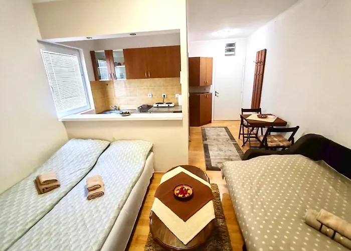 Apartment Banjski Cvet *